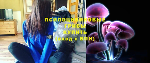 a pvp Алзамай