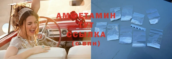 сатива Инсар