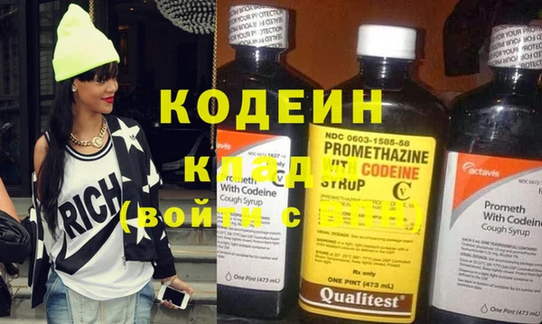 хмурый Кодинск