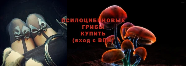 a pvp Алзамай