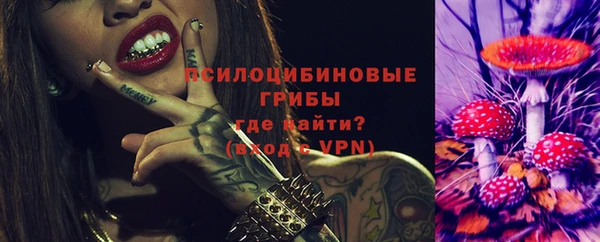 a pvp Алзамай